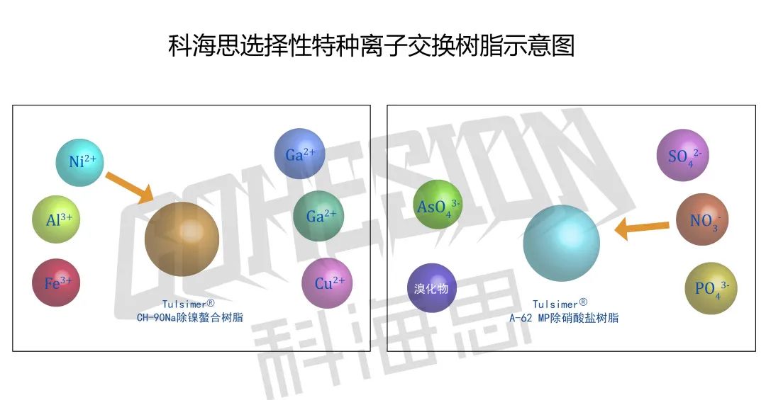 在實際水處理運行中，離子交換樹脂選擇性的影響因素有哪些